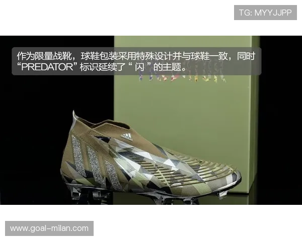 球星专用足球鞋价格揭秘:顶级品牌与限量款的惊人价值 球星专用足球鞋价格揭秘:顶级品牌与限量款的惊人价值